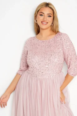 LUXE Curve Pink Sequin Hand Embellished Maxi Dress 8 LUXE Curve Pink Sequin Hand Embellished Maxi Dress -Outlet Stylo Wise Store 195daabb f323 41 161157 D scaled