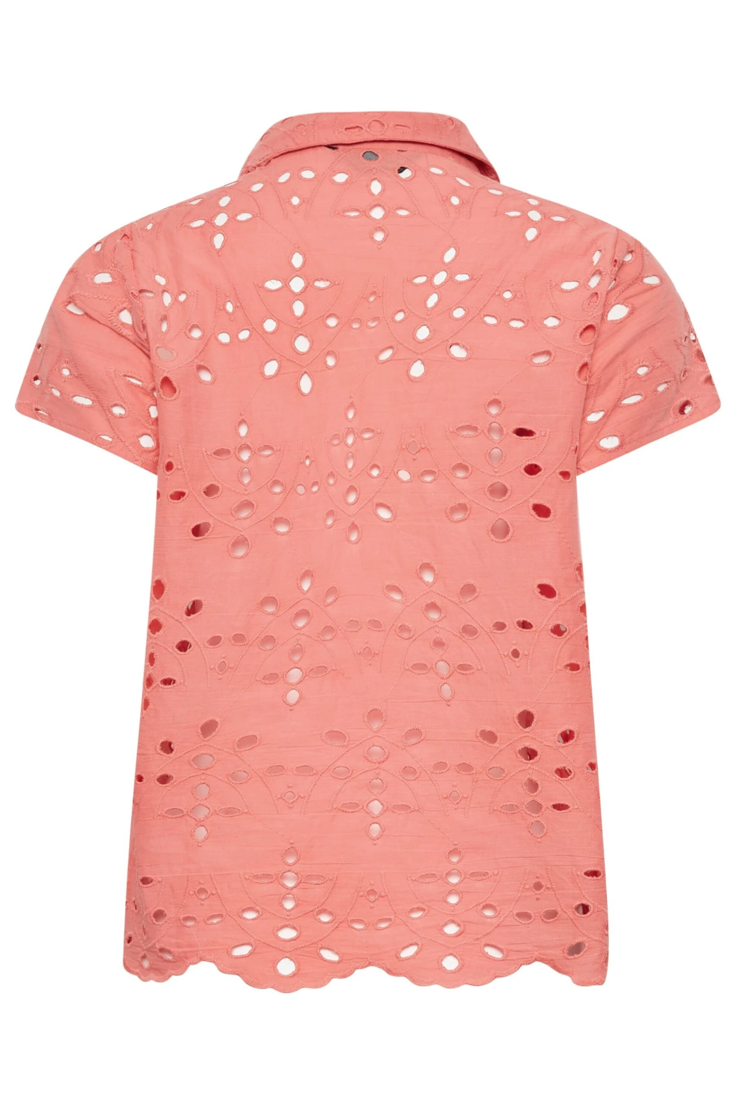 YOURS PETITE Curve Coral Pink Broderie Anglaise Short Sleeve Shirt 6 YOURS PETITE Curve Coral Pink Broderie Anglaise Short Sleeve Shirt - Image 6
