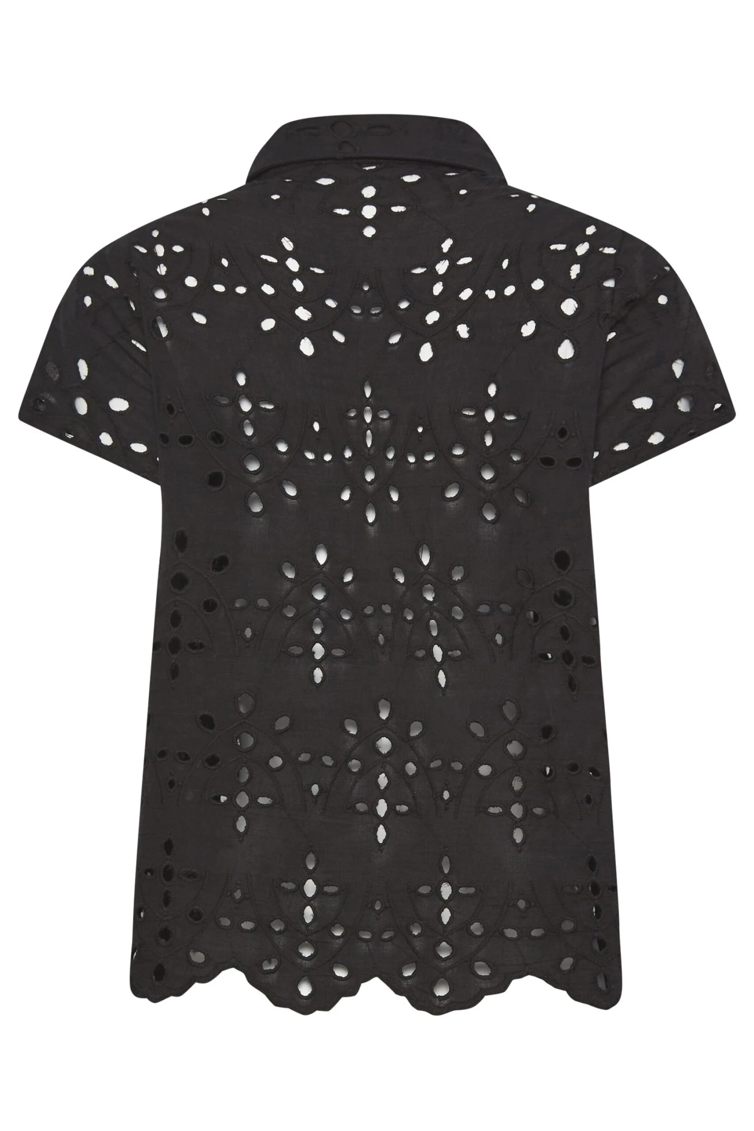 YOURS PETITE Curve Black Broderie Anglaise Short Sleeve Shirt 6 YOURS PETITE Curve Black Broderie Anglaise Short Sleeve Shirt - Image 6
