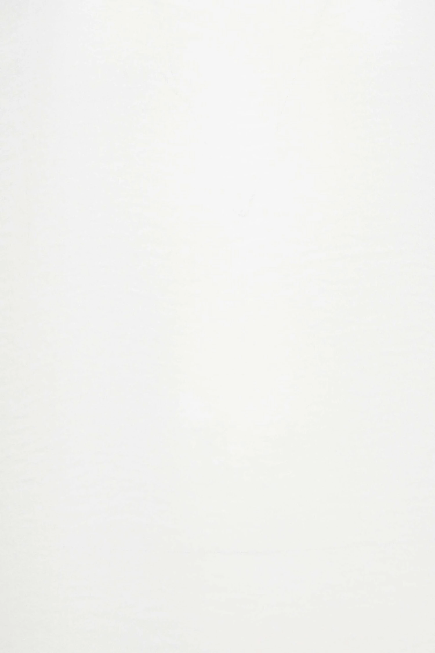 YOURS Curve White Frill Short Sleeve Blouse 4 YOURS Curve White Frill Short Sleeve Blouse - Image 4