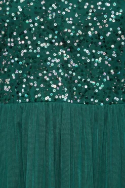 LUXE Curve Forest Green Sequin Hand Embellished Maxi Dress -Outlet Stylo Wise Store 98226afb 581c 4d 161988 Z scaled