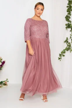 LUXE Curve Dark Pink Sequin Hand Embellished Maxi Dress