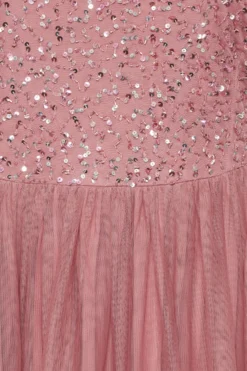 LUXE Curve Dark Pink Sequin Hand Embellished Maxi Dress -Outlet Stylo Wise Store f0d76ade f9f8 4e 161986 Z scaled